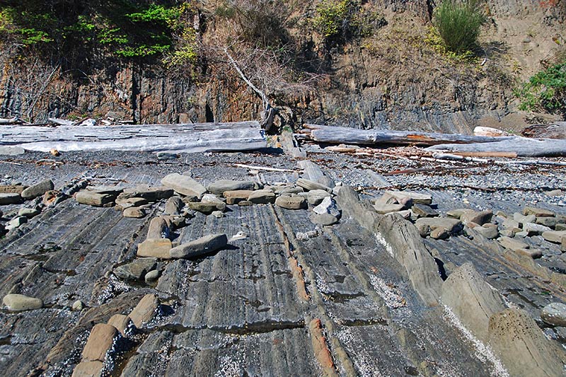 Sedimentary Rock Formations, Conery Crescent Beach, Pender Island, Gulf Islands, British Columbia