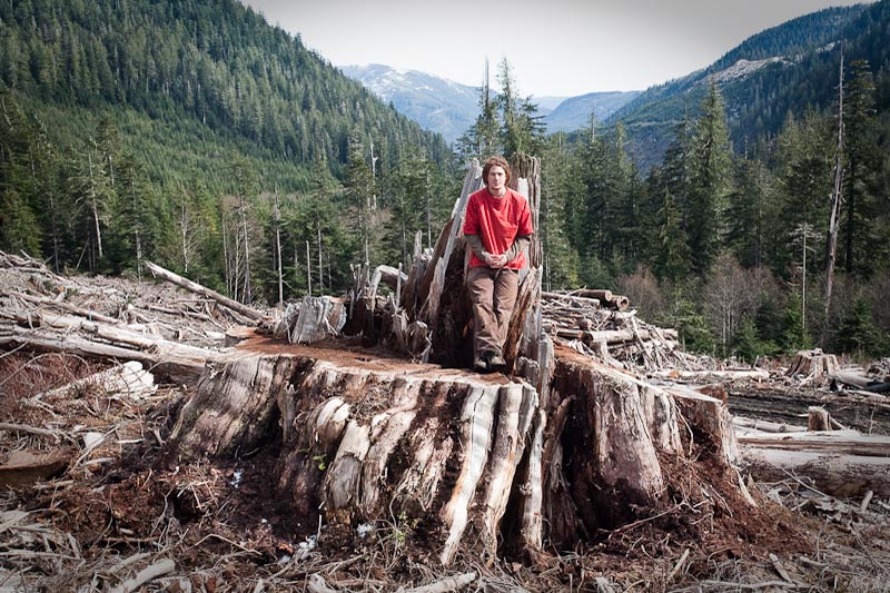 Ancient Forest Alliance, Vancouver Island, British Columbia: Giant Redcedar Stump, Bugaboo Creek, Gordon River Valley