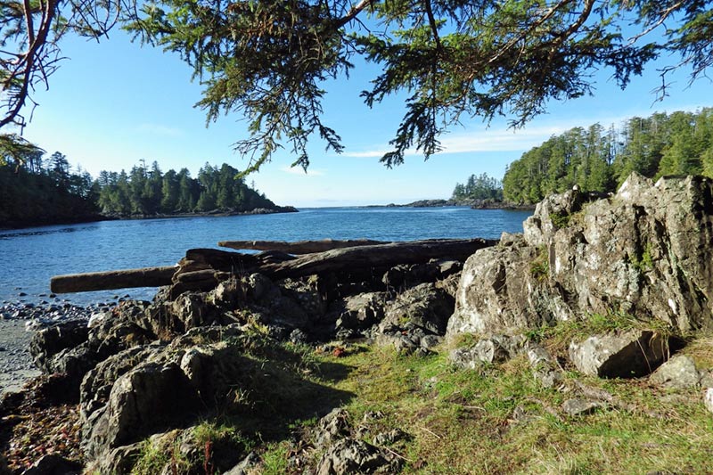 Terrace Beach: Breathtaking West Coast Beaches in Ucluelet on Vancouver Island, British Columbia