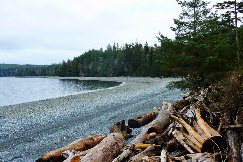 Cycling Malcolm Island: Place of Harmony, Northern Charm by Gregg Strong, Backroads Bike Touring, Vancouver, British Columbia