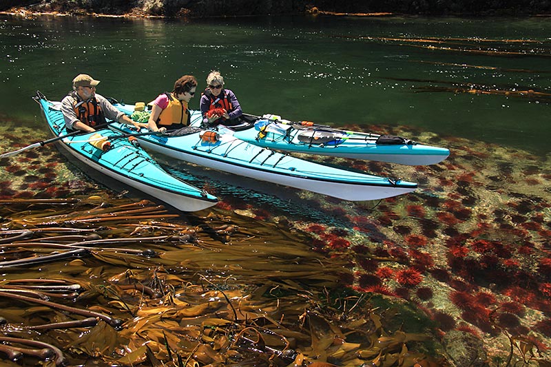 Discovery Islands Lodge, Quadra Island, Discovery Island, British Columbia