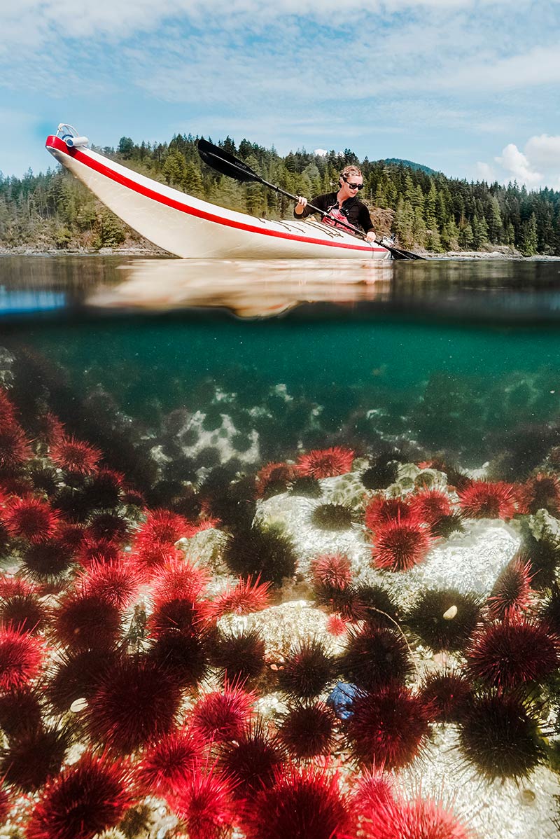 Discovery Islands Lodge, Quadra Island, Discovery Island, British Columbia