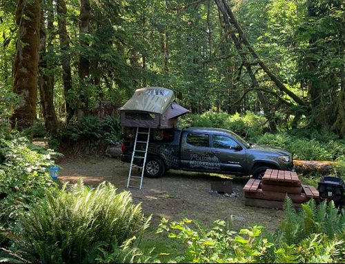 Camping on Vancouver Island without a Reservation