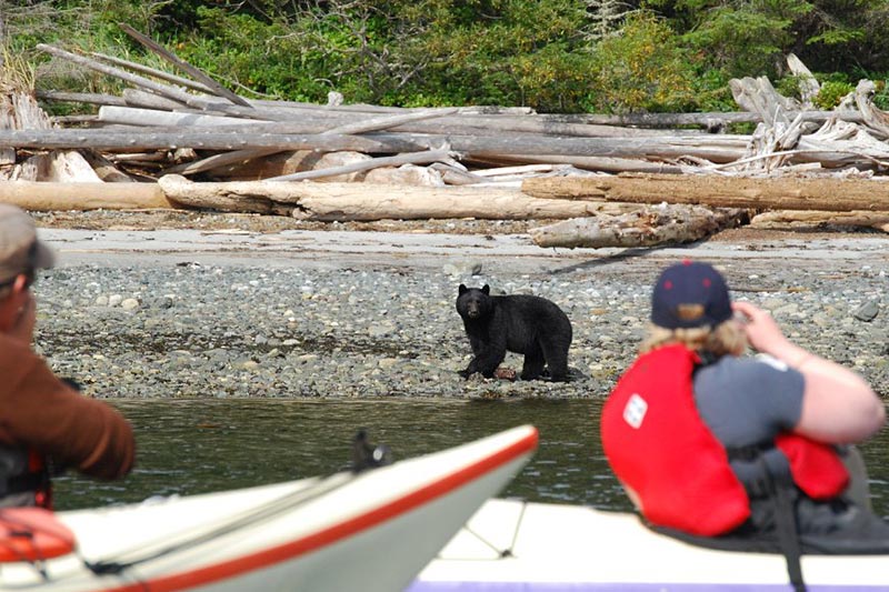 Green Tourism in British Columbia: Spirit of the West Adventures, Quadra Island, BC