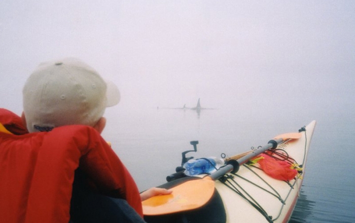 Green Tourism in British Columbia: Spirit of the West Adventures, Quadra Island, BC