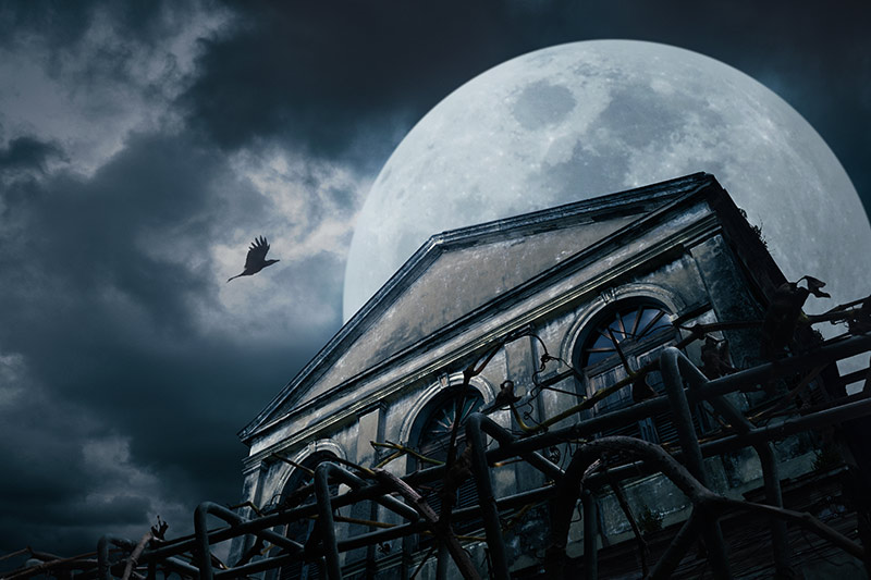 Halloween Horror in Spooky Victoria, Vancouver Island, British Columbia