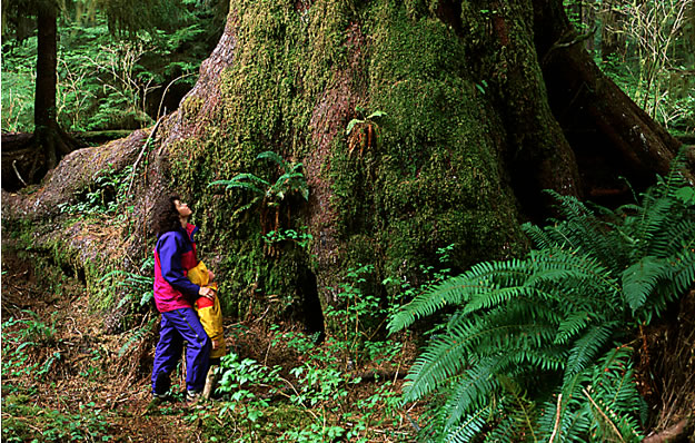 Heaven Trail, BritishColumbia.com