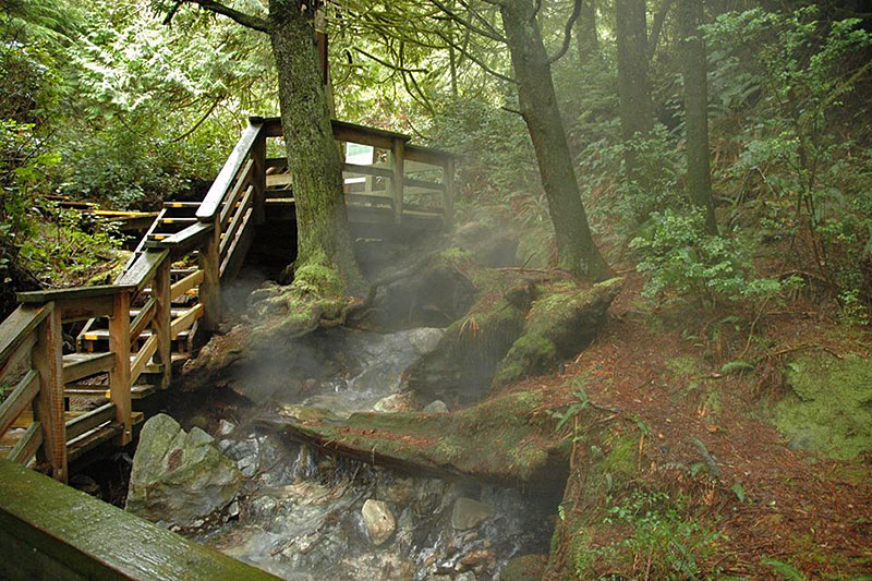 The Boardwalk to Hot Springs Cove, Vancouver Island. Photo: Remote Passages Marine Excursions, Tofino.
