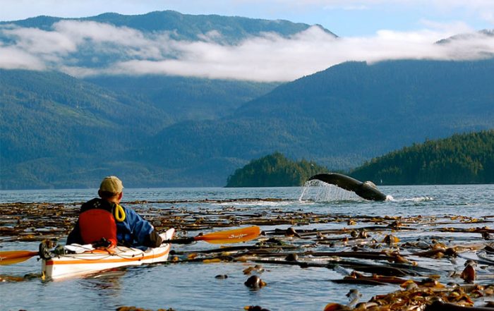 Photo: Spirit of the West Adventures, British Columbia. www.kayakingtours.com