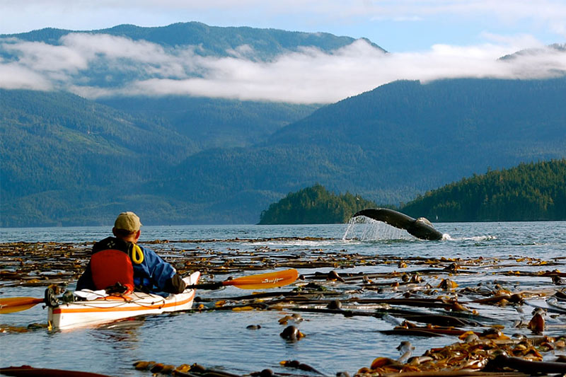 Photo: Spirit of the West Adventures, British Columbia. www.kayakingtours.com