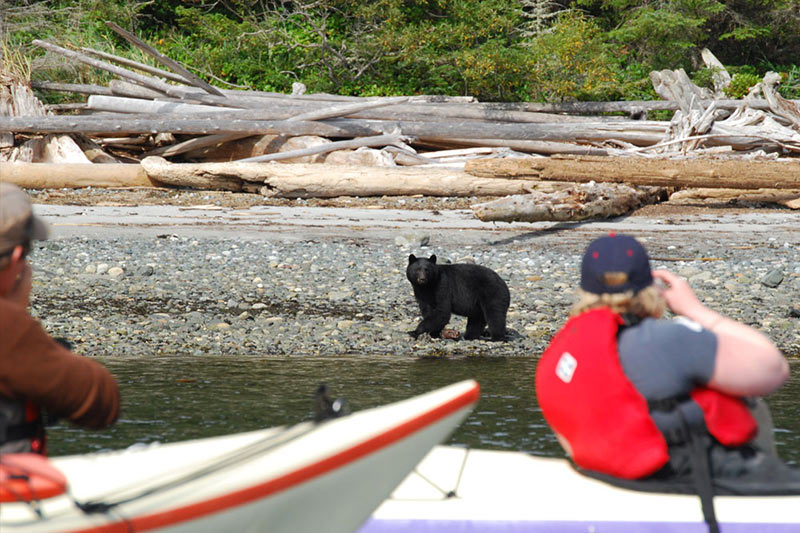 Photo: Spirit of the West Adventures, British Columbia. www.kayakingtours.com