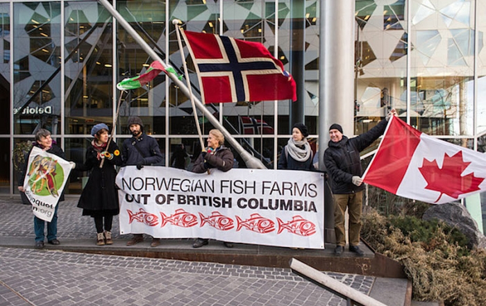 Open-net Salmon Farms ending in Norway but OK for BC? Clayoquot Action Tofino creating awareness in Norway.