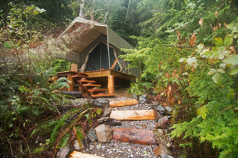Safari-style luxury tents at base camp: Orca Dreams offers kayaking, whale watching and luxury camping on Compton Island, Blackney Pass, British Columbia