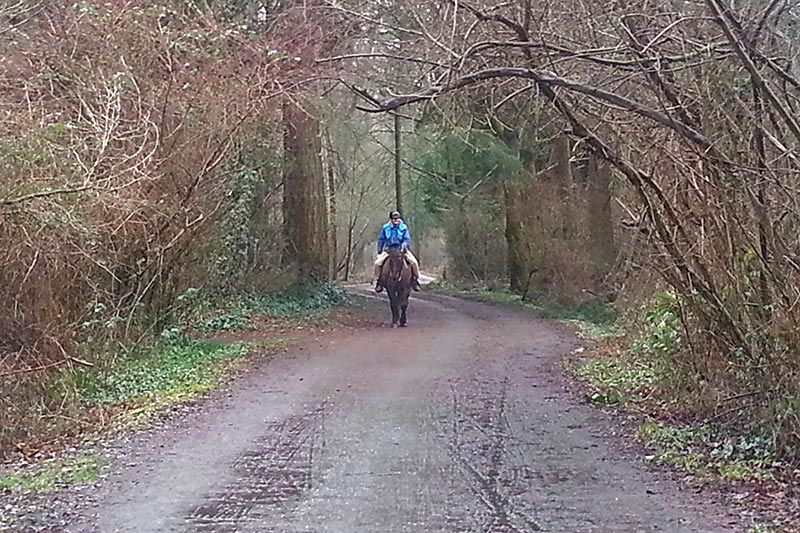 Paving Paradise on Lochside Trail: Biker versus Rider, Victoria, British Columbia