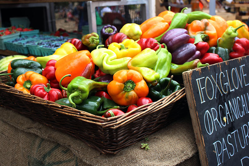 At the Market: A Day on Salt Spring Island, British Columbia, Canada
