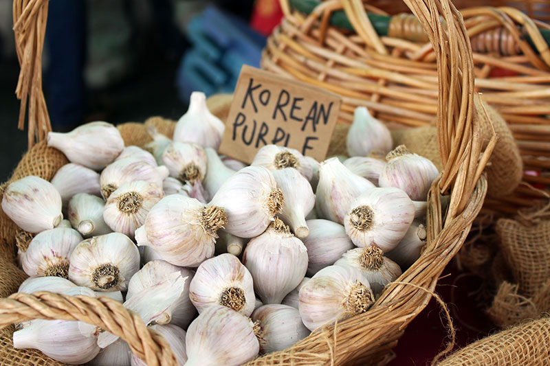At the Market: A Day on Salt Spring Island, British Columbia, Canada