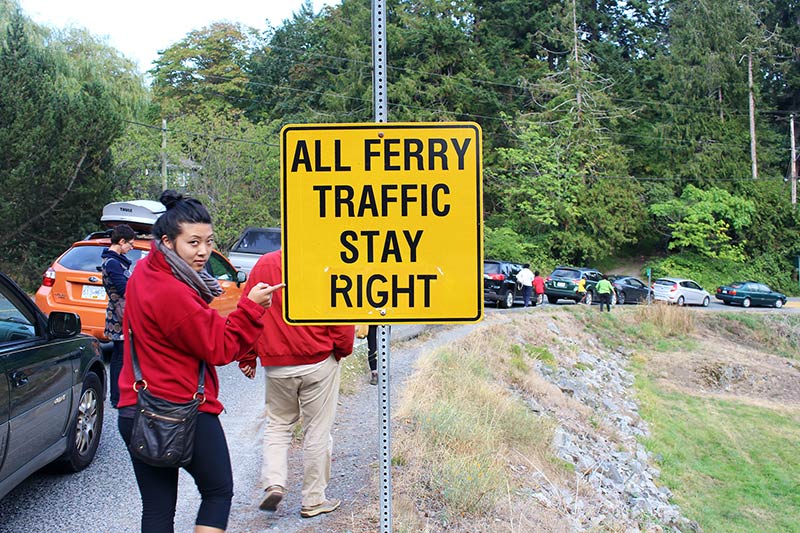 At the Market: A Day on Salt Spring Island, British Columbia, Canada