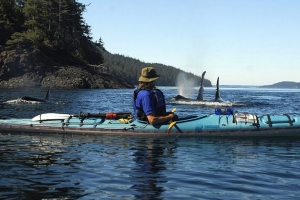 Spirit of the West Kayaking offers multi-day wilderness kayaking trips in British Columbia from Vancouver Island and Quadra Island in the BC Discovery Islands