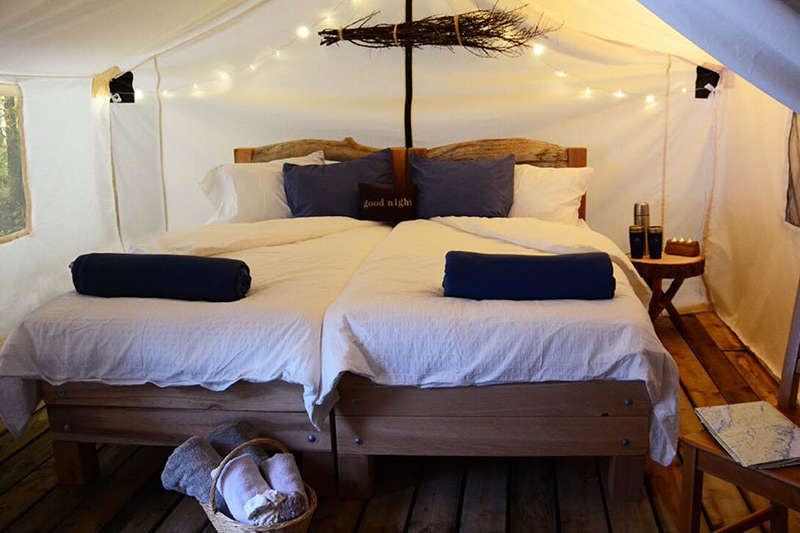 Whales, Wilderness and Glamping in British Columbia with Spirit of the West Adventures