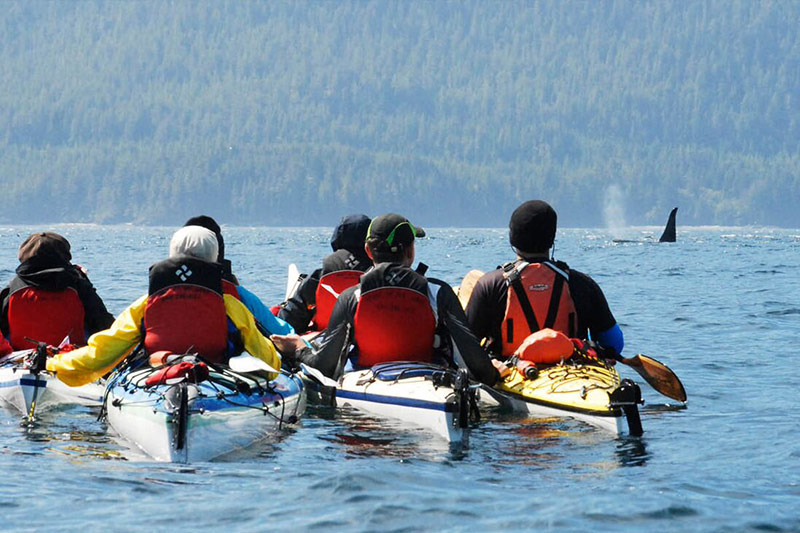 Whales, Wilderness and Glamping in British Columbia with Spirit of the West Adventures