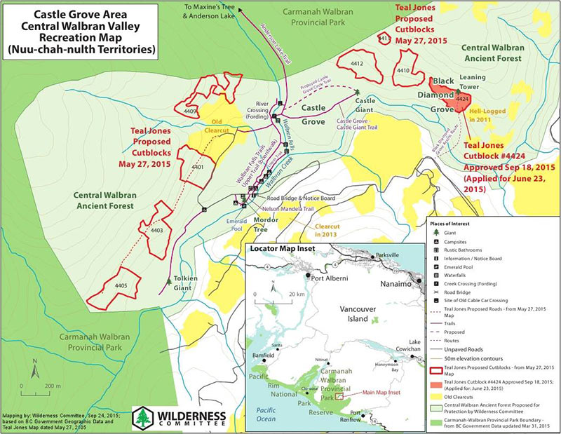 Why Vancouver Island's Walbran Valley rainforest matters: British Columbia, Canada. Castle Grove Area, Central Walbran Valley, Wilderness Committee.