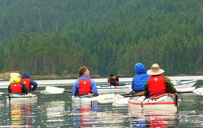 Wildcoast Adventures Kayak Tours & Vacations, Quadra Island, Discovery Islands, British Columbia
